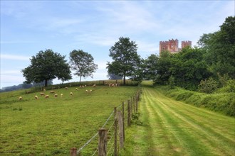 Powderham Castle