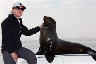 Woman and South African Fur Seal