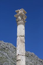 Column at Sagalassos in Isparta