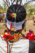 Traditional head dress