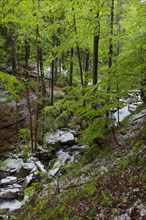 Hoellbach in May with snow