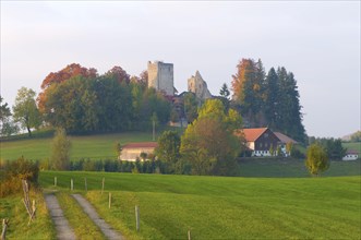 Vorderburg Ruin