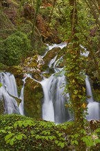River Urederra