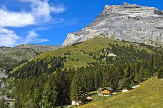Hamlet of Derborence at the foot of the Les Diablerets massif