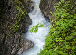 Mountain stream flowing through a narrow gorge