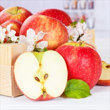 Apples Fruits red apple fruit in box with flowers square