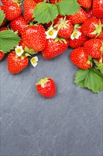 Strawberries Berries Fruit Strawberry Berry Fruit Text Free Space Copyspace on Slate