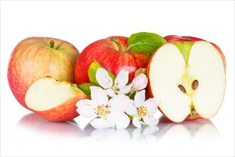 Apples fruits red apple fruit with flowers and leaves isolated