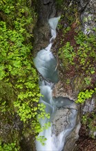 Mountain stream flowing through a narrow gorge