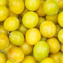 Mirabelle fruits Mirabelle fruit yellow plum plum background square