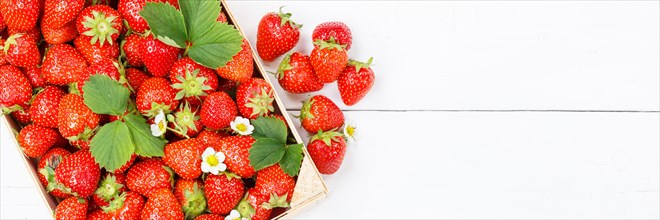 Strawberries Berries Fruits Strawberry Berry Fruit Text Free Space Copyspace in Box on Wooden Board Panorama