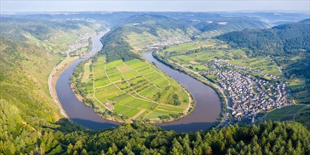 Moselle Loop Calmont Panorama River Moselle Loop Nature Landscape in Bremm