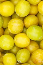 Mirabelle fruits Mirabelle fruit yellow plum plum background