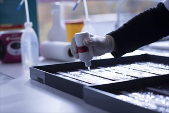 Sample processing with marker application in a histology laboratory