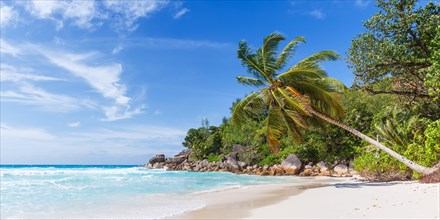 Anse Georgette Beach on Praslin Island with Palm Panorama Sea in the Seychelles