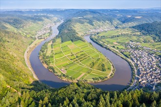 Moselle Loop Calmont River Moselle Loop Nature Landscape in Bremm