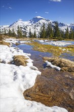 Springtime mountain landscape with meltwater pools and spruce trees