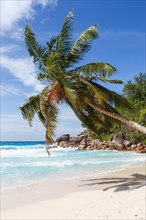 Anse Georgette Beach on Praslin Island with Palm Sea in the Seychelles