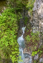 Mountain stream flowing through a narrow gorge