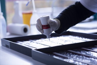 Sample processing with marker application in a histology laboratory