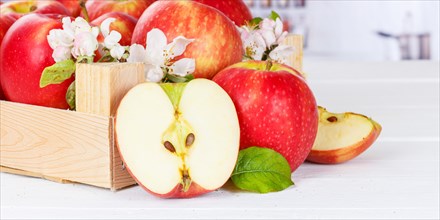 Apples Fruits red apple fruit in box with flowers Panorama