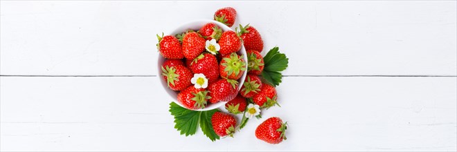 Strawberries Berries Fruits Strawberry Berry Fruit Text Free Space Copyspace Panorama in a Bowl