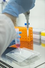 Medical laboratory assistant fills blood samples onto a multiwell tray with a pipette