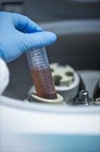 Medical laboratory assistant places a centrifuge tube with a blood sample in the centrifuge