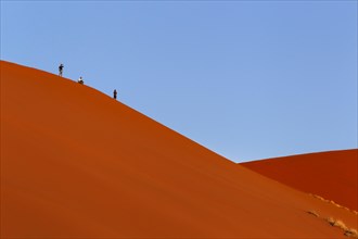 A group of three tourists stand and sit on a red dune. Sossusvlei