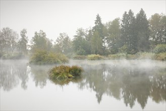 Autumn atmosphere at a pond in the Wildert nature reserve in Illnau