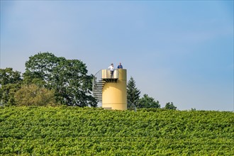 Observation tower on the vineyard at the Lindicke Winery