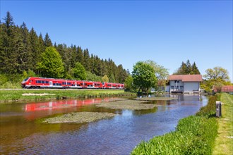 Pesa Link Regional train of Deutsche Bahn DB Bayern in Allgaeu in Ruderatshofen