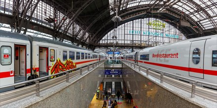 Trains in the station central railway station Hbf Panorama in Cologne