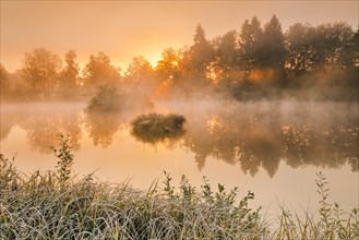 Autumnal morning mood at a pond in the nature reserve Wildert in Illnau