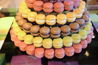 Macarons on tray are for sale
