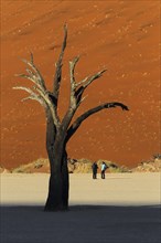 A group of 3 tourists stand on the Deadvlei clay pan together. Deadvlei