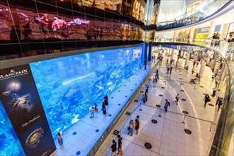 Dubai Mall Aquarium Luxury Shopping Shopping in Dubai