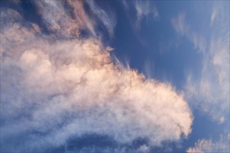 Pink coloured cirrus clouds form a spectacular cloud formation in the blue sky during a Foehn storm and sunrise