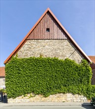 Rural stable building with green facade