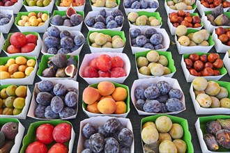 Fresh fruit and vegetables