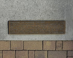 Bronze plaque for Alexander von Humboldt