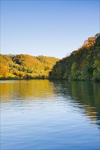 View from the riverbank near Eglisau of the Rhine fringed by colourful autumn forest