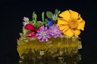 Fresh honeycomb with blossom honey