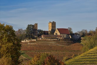 Neipperg Castle in autumn