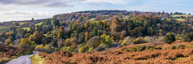 Autumn Colors over Dartmeet Car Park in Dartmoor Park from a drone