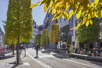 Avenue of deciduous trees in Bahnhofstrasse