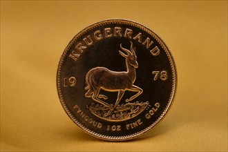 Physical Gold Coin 1 oz Gold Krugerrand Reverse Springbok Antelope