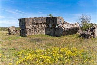 Remains of a bunker in the Sielmanns Naturlandschaft Doeberitzer Heide nature reserve