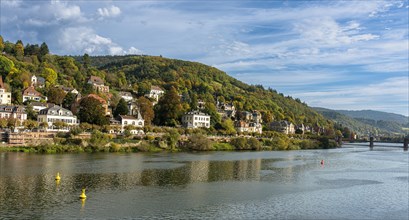 Old villas on the banks of the Neckar in Heidelberg