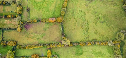 Panorama view of Autumn Colors over Somerset fields from a drone